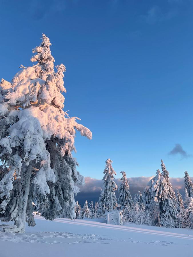Садиба Рокса Slavske Exterior foto